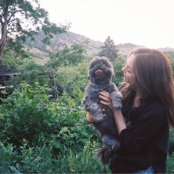 Meet your Posher, Collyn - Picture 9 of 11